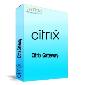 Citrix-Gateway