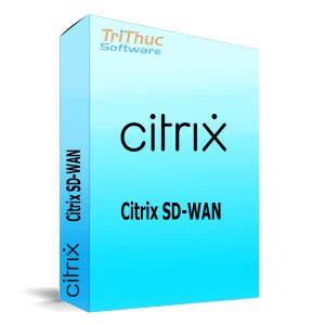 Citrix-SD-WAN