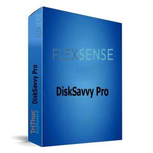 DiskSavvy-Pro