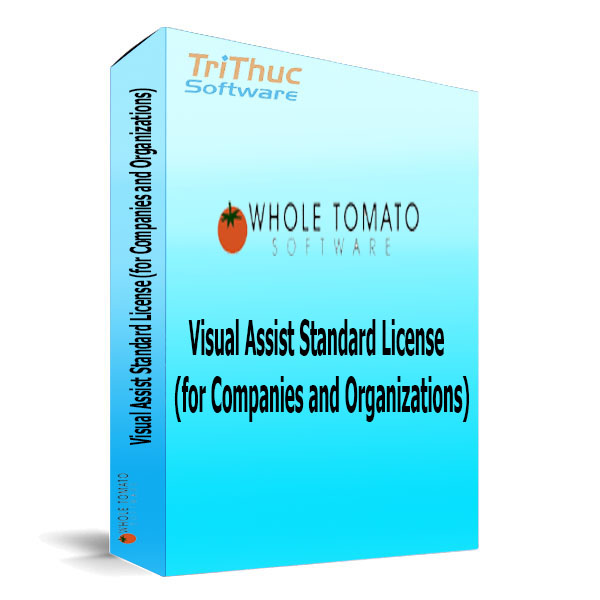 Visual-Assist-Standard-License-(for-Companies-and-Organizations)