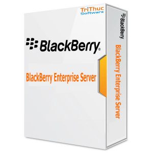 BlackBerry-Enterprise-Server
