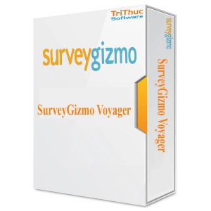 SurveyGizmo-Voyager