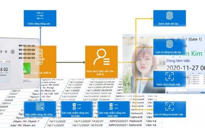 Phần mềm máy chấm công chất lượng hiện nay
