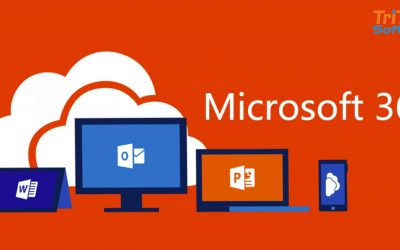 Office 365 business essentials là gì? Tính năng mới nhất 2023
