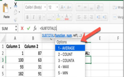 Subtotal là gì? Cách sử dụng Subtotal trong Excel
