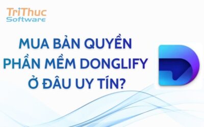 Bản Quyền Donglify Là Gì? Địa Chỉ Mua Uy Tín